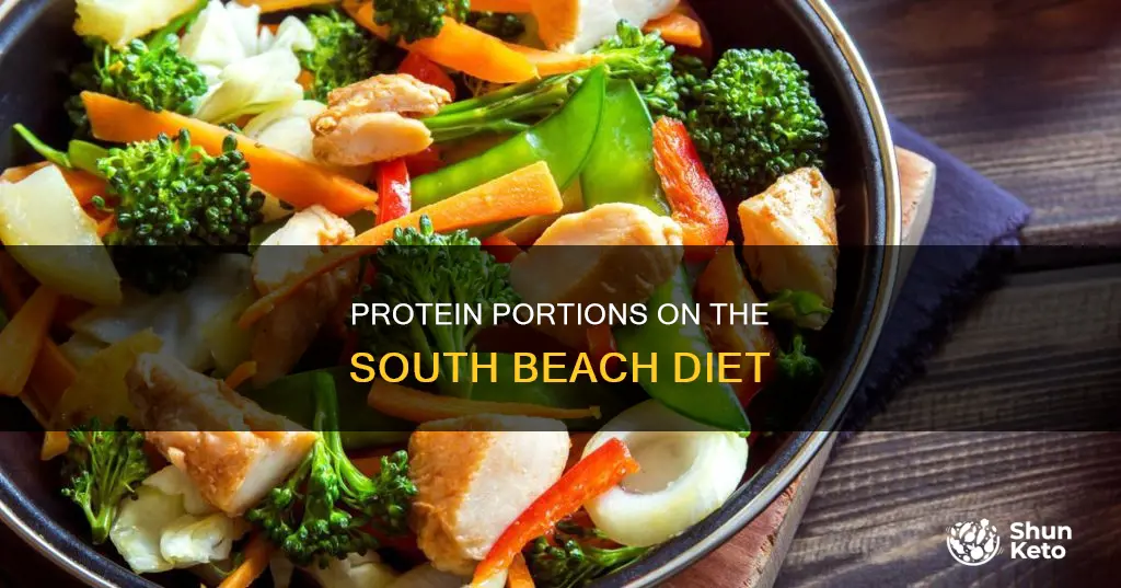 how many ounces of protein on south beach diet