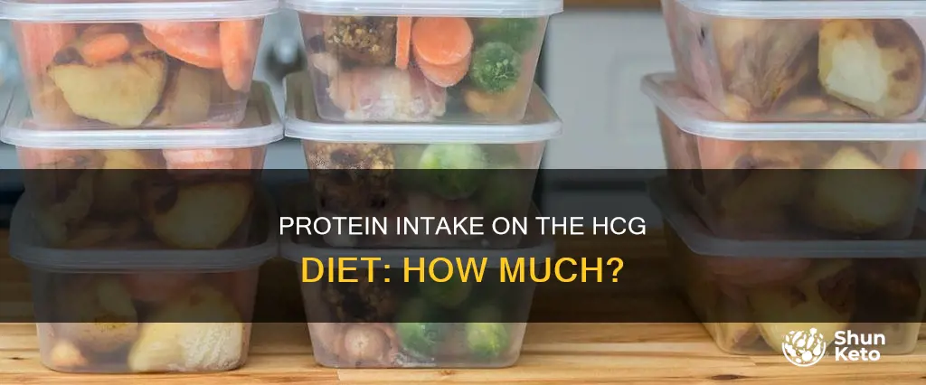 how many oz of protein on hcg diet