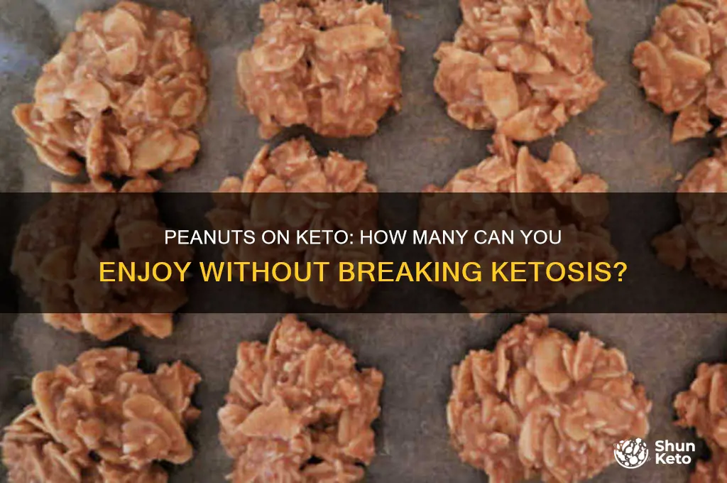how many peanuts can i have on keto