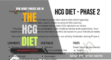 Understanding the HCG Diet: Phases Explained