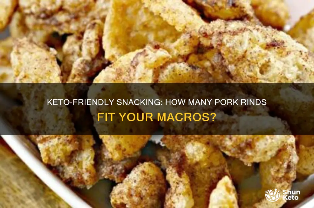 how many pork rinds can i have on keto