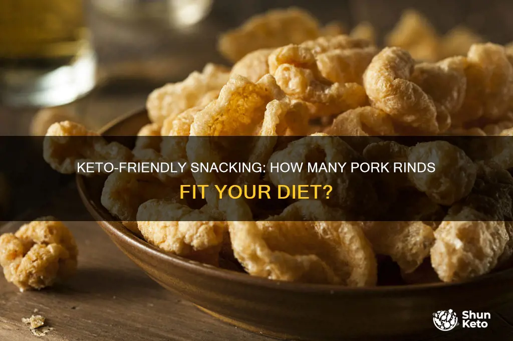 how many pork rinds on keto diet