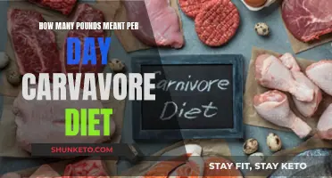 The Carnivore Diet: Pounds Melted Away