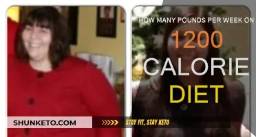 Calorie Counting: Rapid Weight Loss on a 1200 Calorie Diet