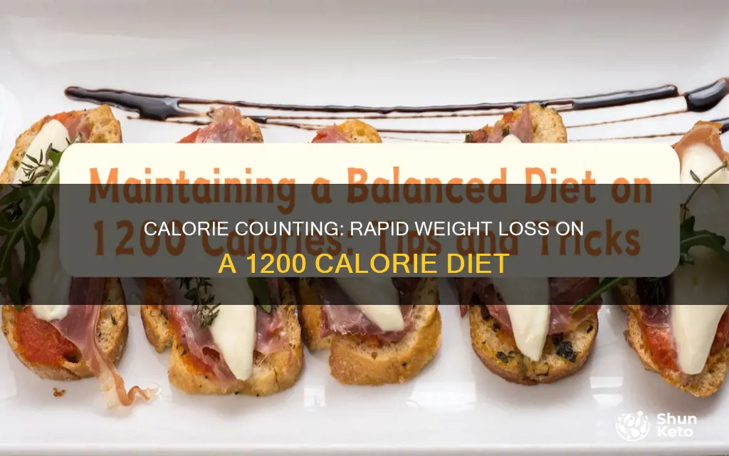 how many pounds per week on 1200 calorie diet
