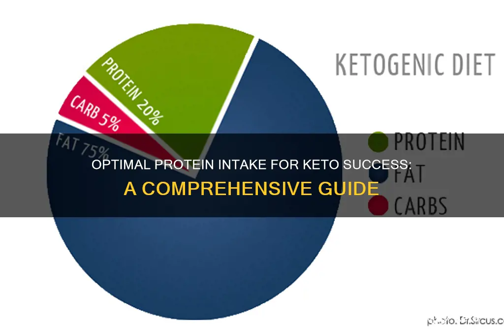 how many protiens should you have on the keto diet
