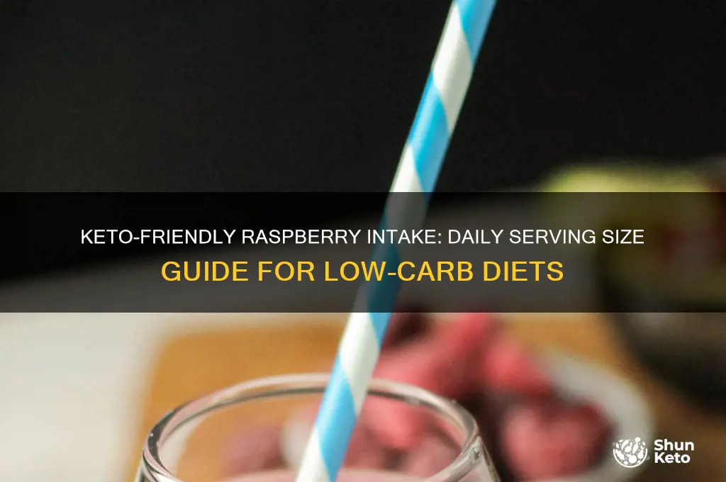 how many raspberries can i eat a day on keto