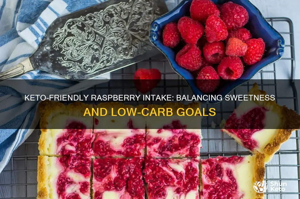 how many raspberries on keto diet