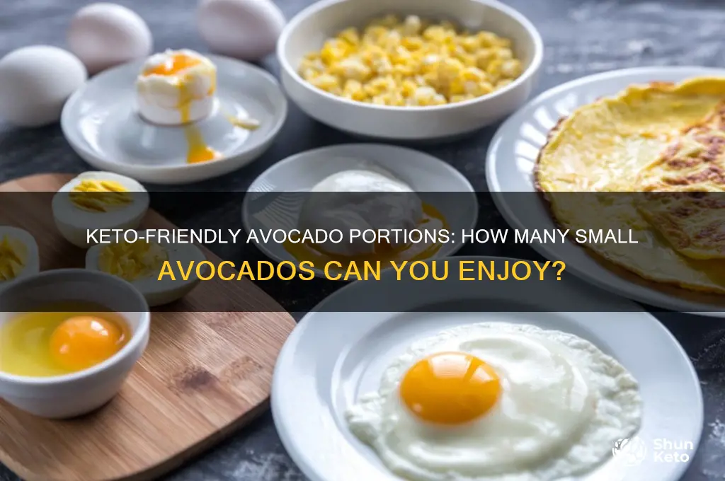 how many small avocados can i eat on keto