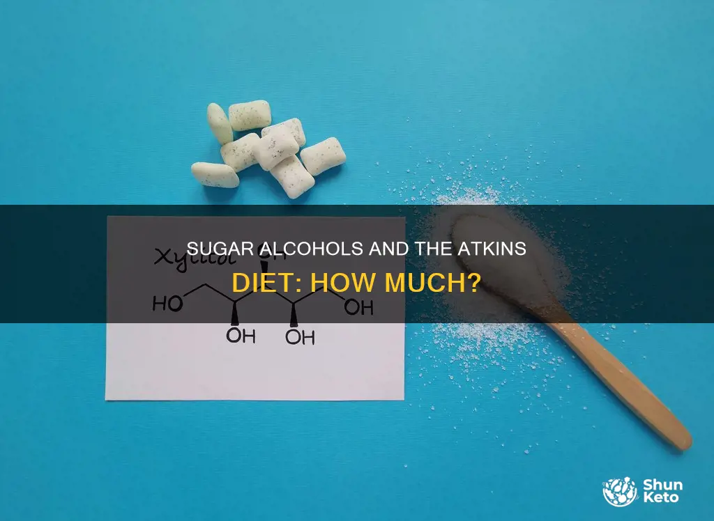 how many sugar alcohol is allowed in atkin diet
