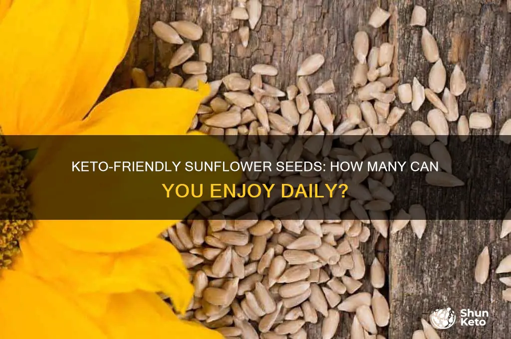 how many sunflower seeds can you eat on keto