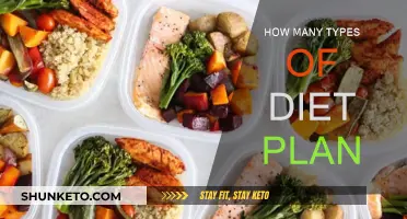 Exploring the Diversity of Diet Plans: Unveiling Options