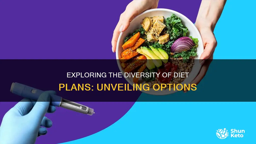 how many types of diet plan