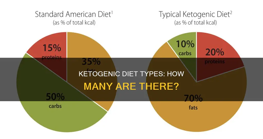 how many types of ketogenic diet are there
