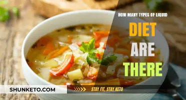 Exploring the Different Types of Liquid Diets