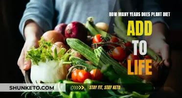 Plant-Based Diets: Adding Years to Your Life