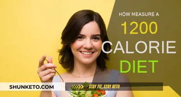 Tracking Your 1200-Calorie Diet: A Comprehensive Guide
