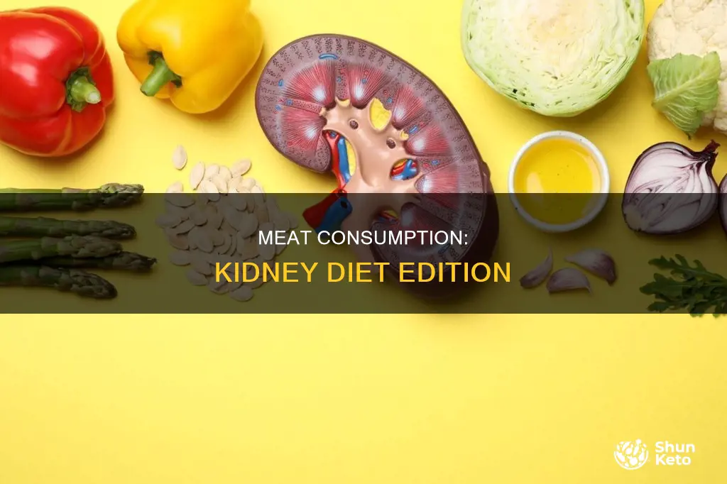 how meat per day on a kidney diet