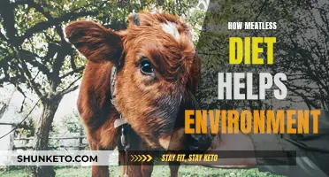 Meatless Diets: Saving the Planet, One Bite at a Time