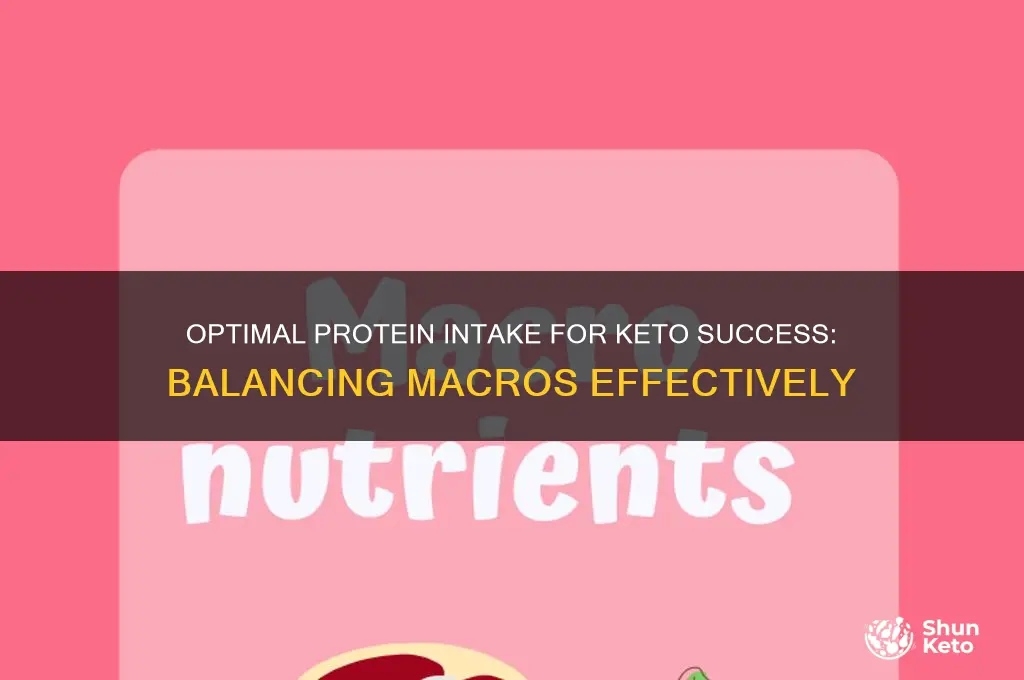 how mich protein on keto diet