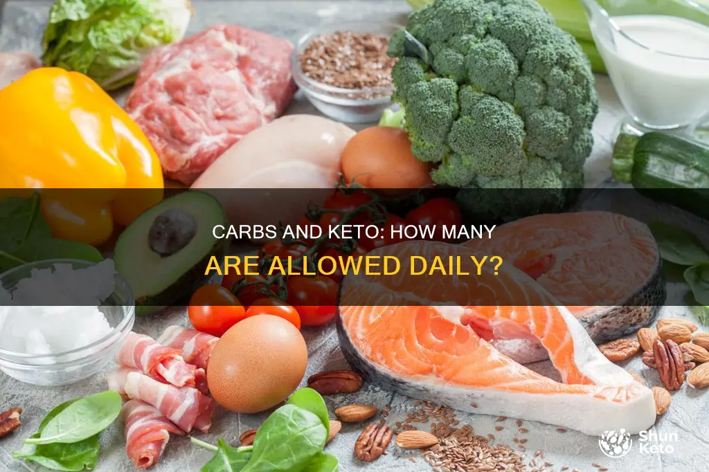 how msny carbs are allowed on keto a day