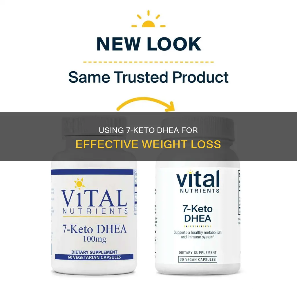 how much 7 keto dhea for weight loss