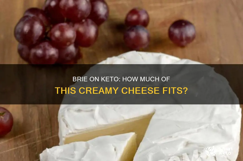 how much brie cheese can i eat on keto