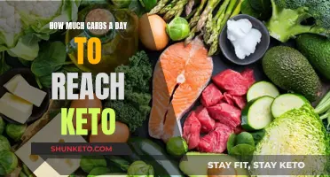 Keto Diet: Counting Carbs to Achieve Ketosis