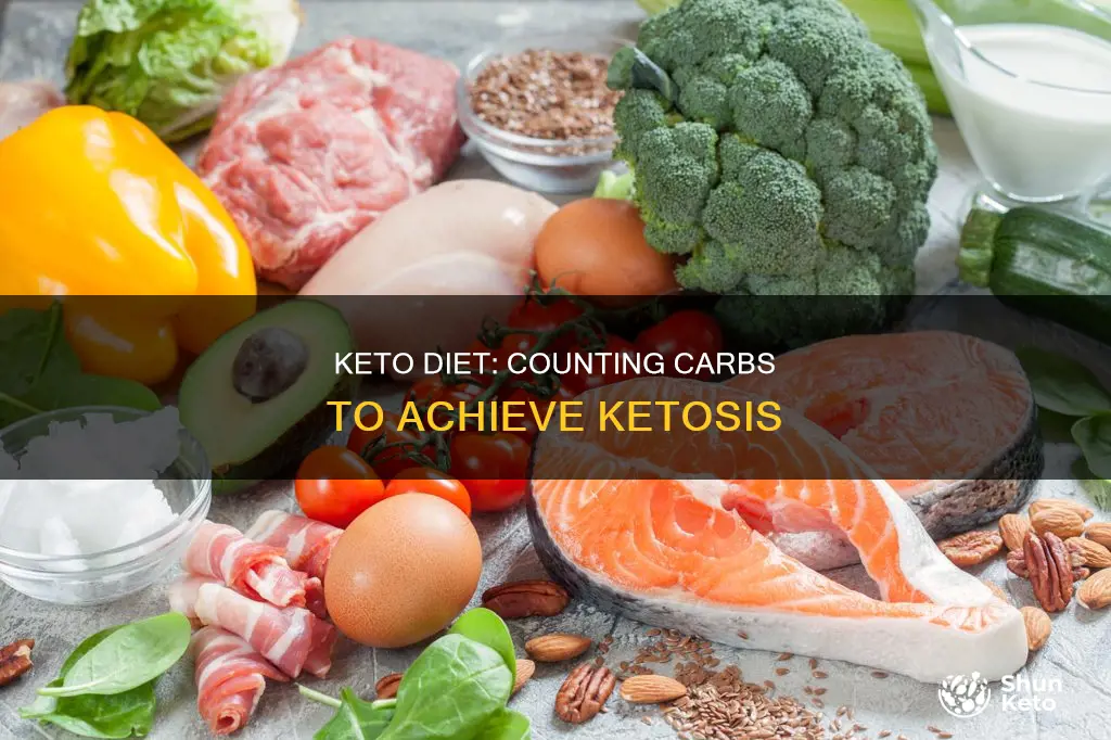 how much carbs a day to reach keto