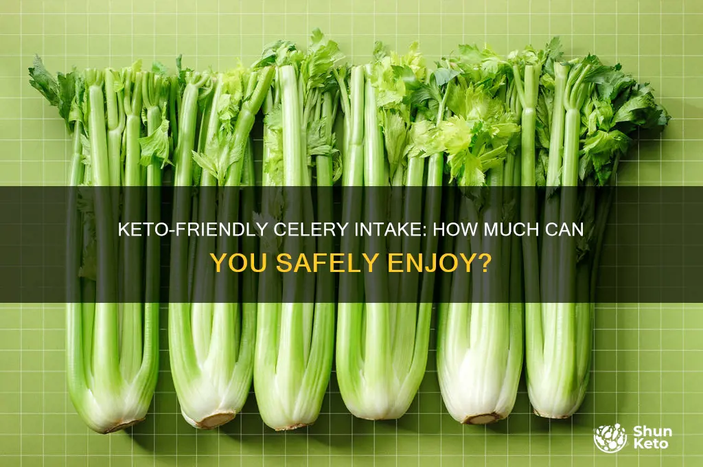how much celery can i eat on keto