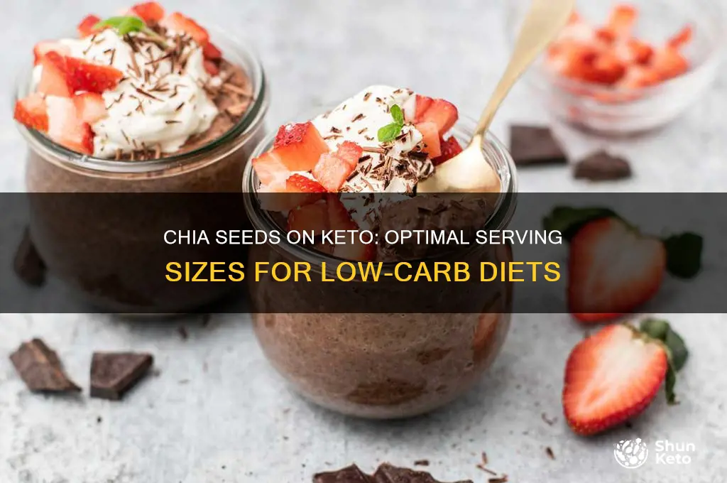 how much chia seeds can you eat on keto
