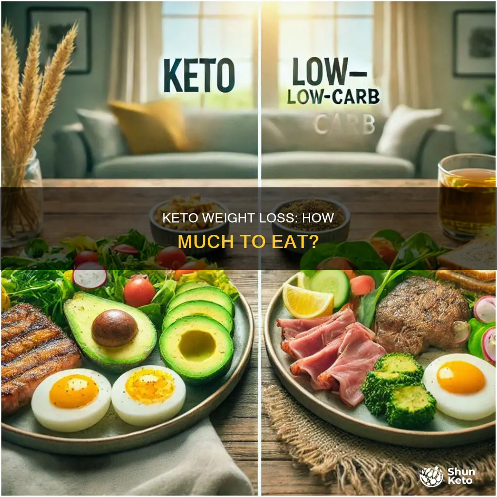 how much do i eat on keto to lose weight