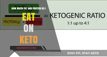 Keto Diet Essentials: Optimal Fat and Protein Intake Explained