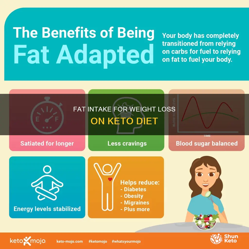 how much fat per day to lose weight on keto