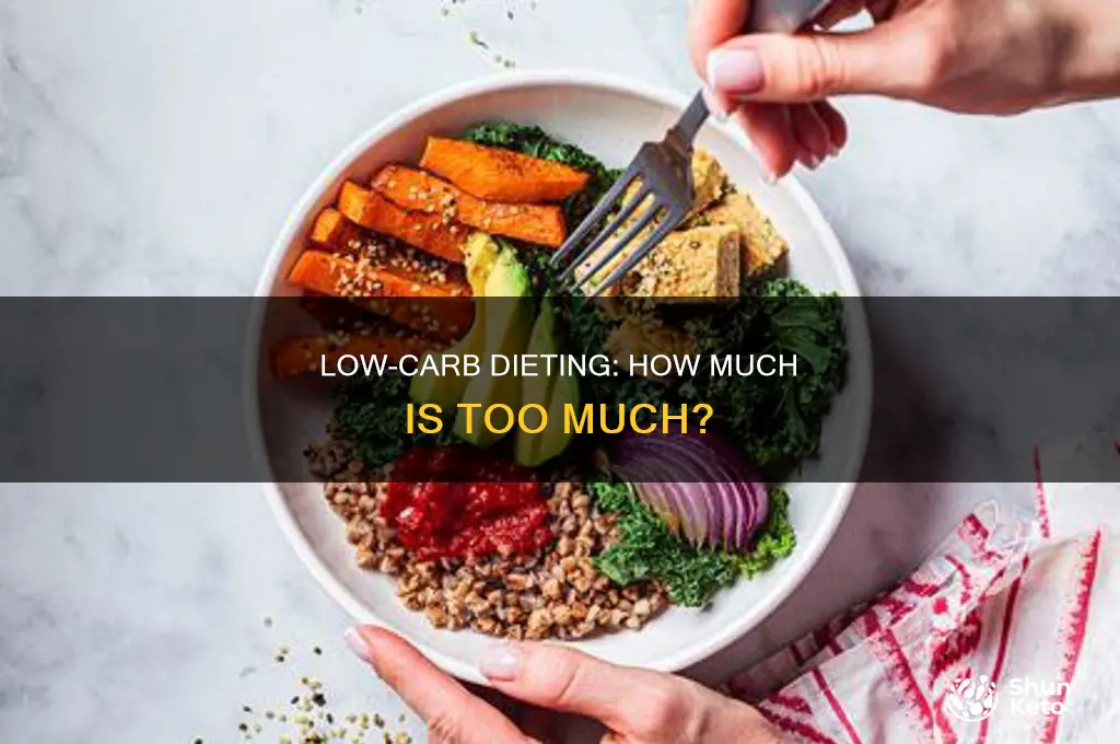 how much low carb diet can i eat