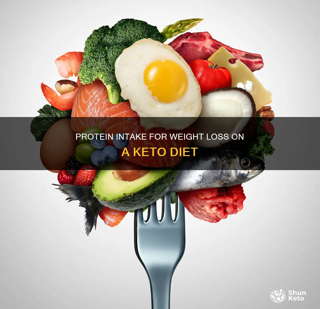 how much protein per day to lose weight keto