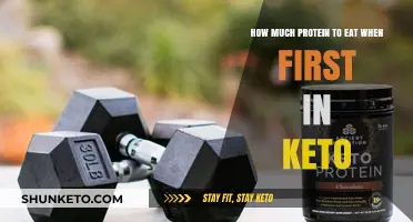 Keto Protein Guide: Optimal Intake for Beginners on a Low-Carb Diet