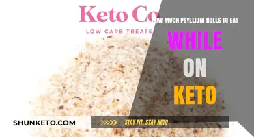 Keto-Friendly Psyllium Hulls: Optimal Daily Intake for Digestive Health