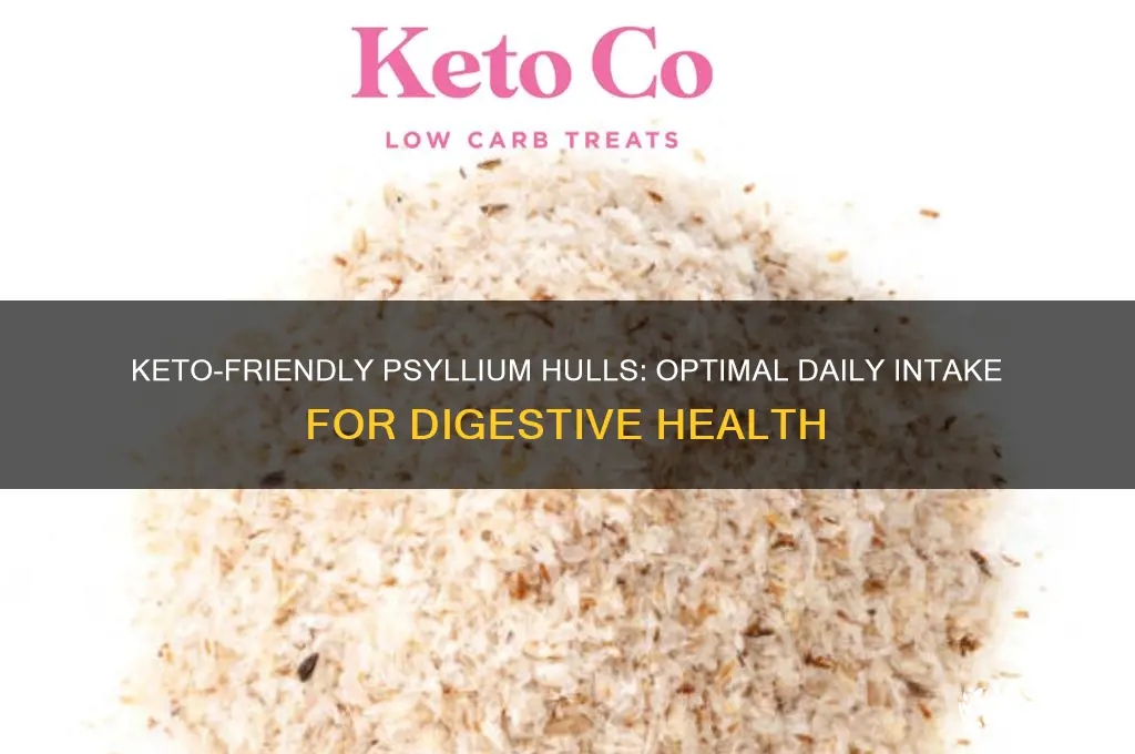 how much psyllium hulls to eat while on keto