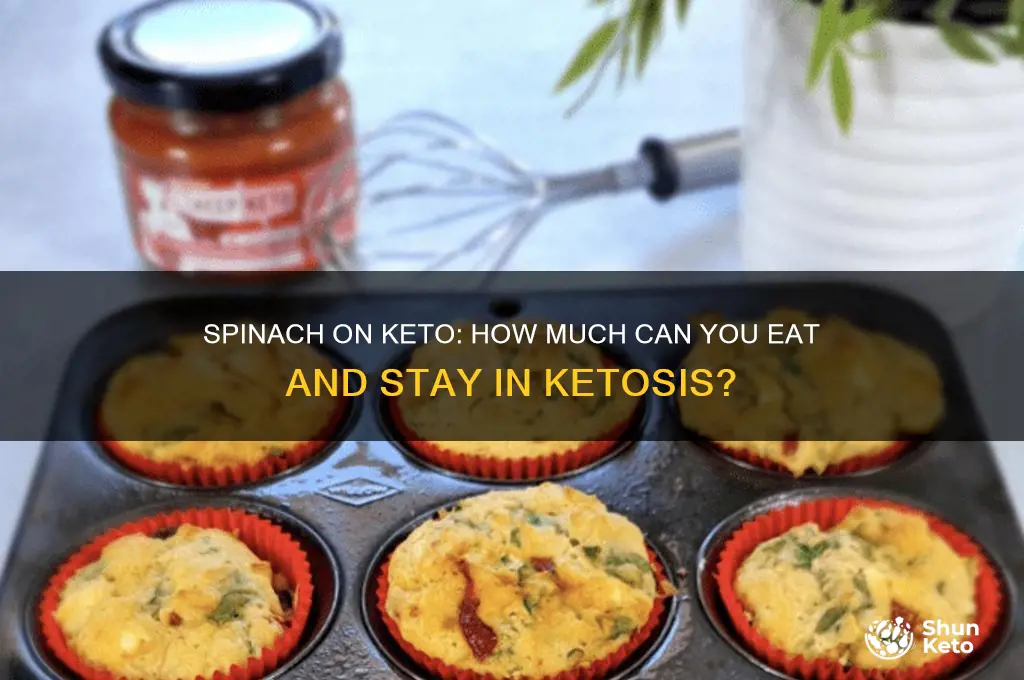 how much spinnach can i eat on the keto