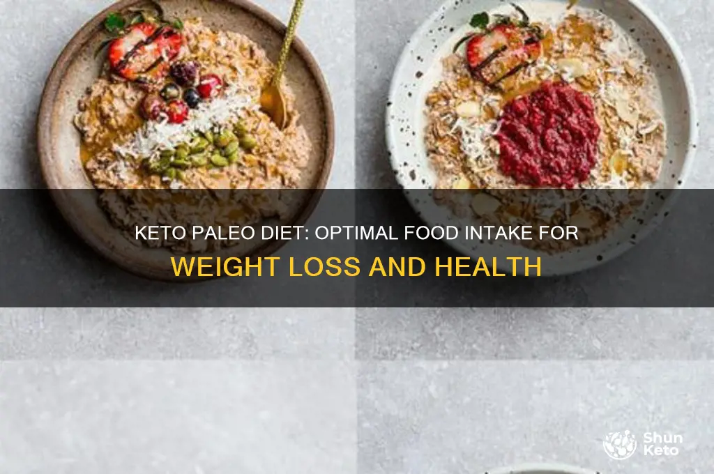 how much to eat on a keto paleo diet