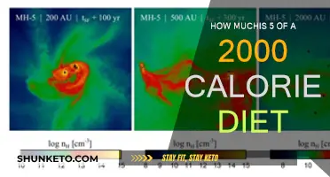 Calorie Counting: Understanding Your Daily 2,000 Calorie Intake