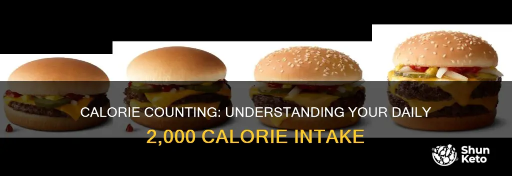how muchis 5 of a 2000 calorie diet