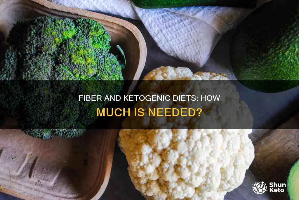 how muvh fiber do you need for ketogenic diet