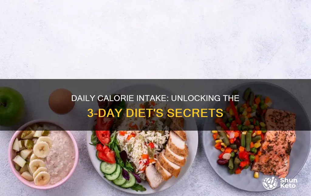 how nany calories per day in the 3 day diet