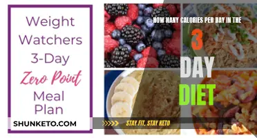 Calorie Counting: 3-Day Diet Explained