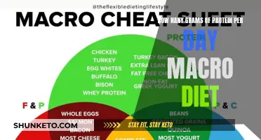 Protein Intake: Macro Diet Daily Protein Grams
