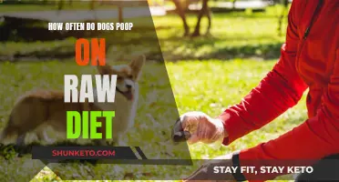 Raw Diet and Poop: How Often is Normal for Dogs?