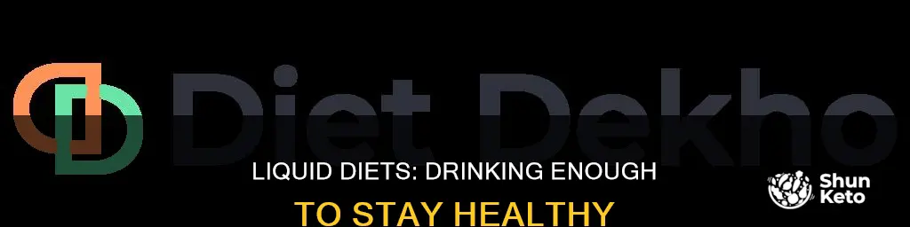 how often do you drink on a liquid diet