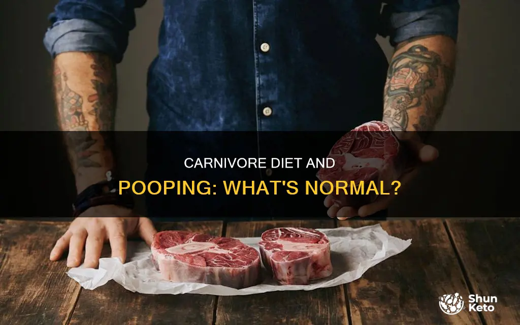 how often do you poop on carnivore diet